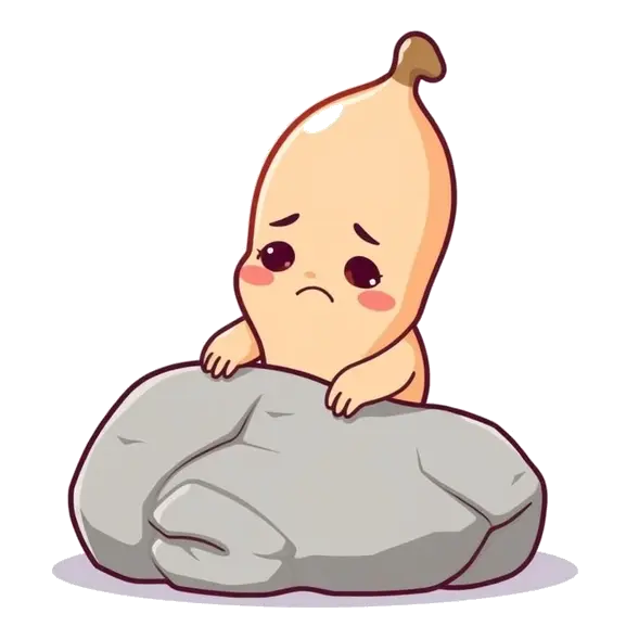 Welcome to Cashews.Fyi